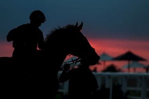 Epsom summer nights racing sunset with horse